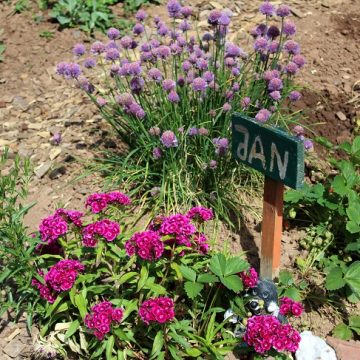 Kids Garten 05