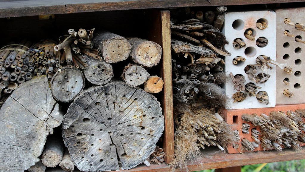 Das Insektenhotel
