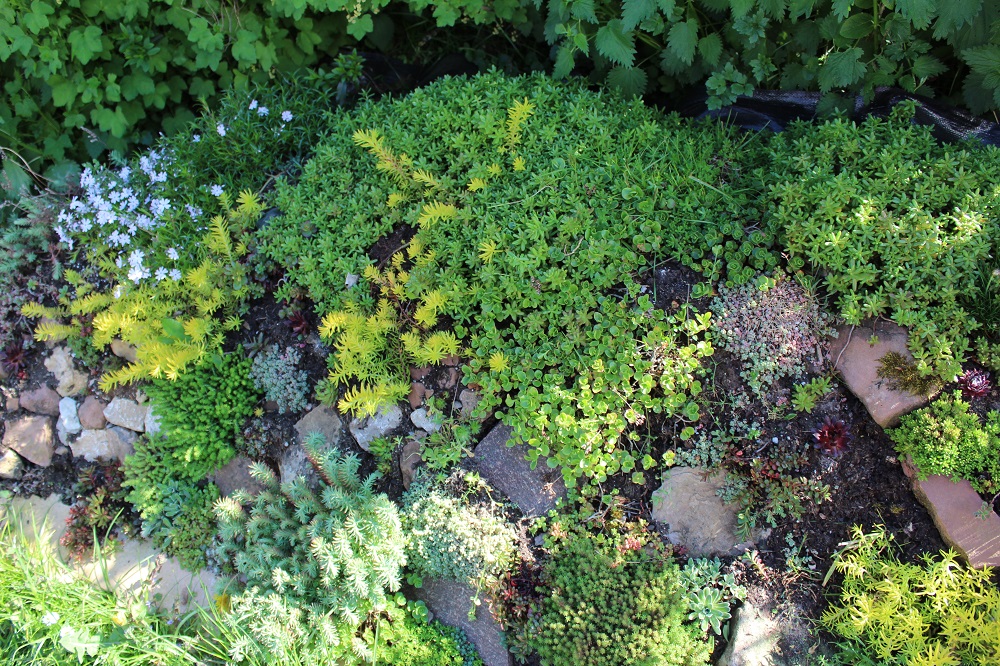 Steingärten – eine faszinierende Welt | Garten Wissen