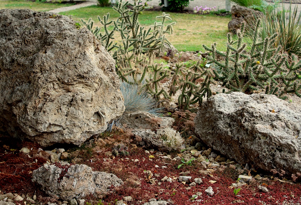 Der Botanische Garten von Bad Langensalza Garten Wissen