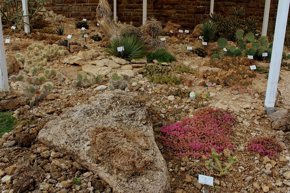 Der Botanische Garten von Bad Langensalza Garten Wissen