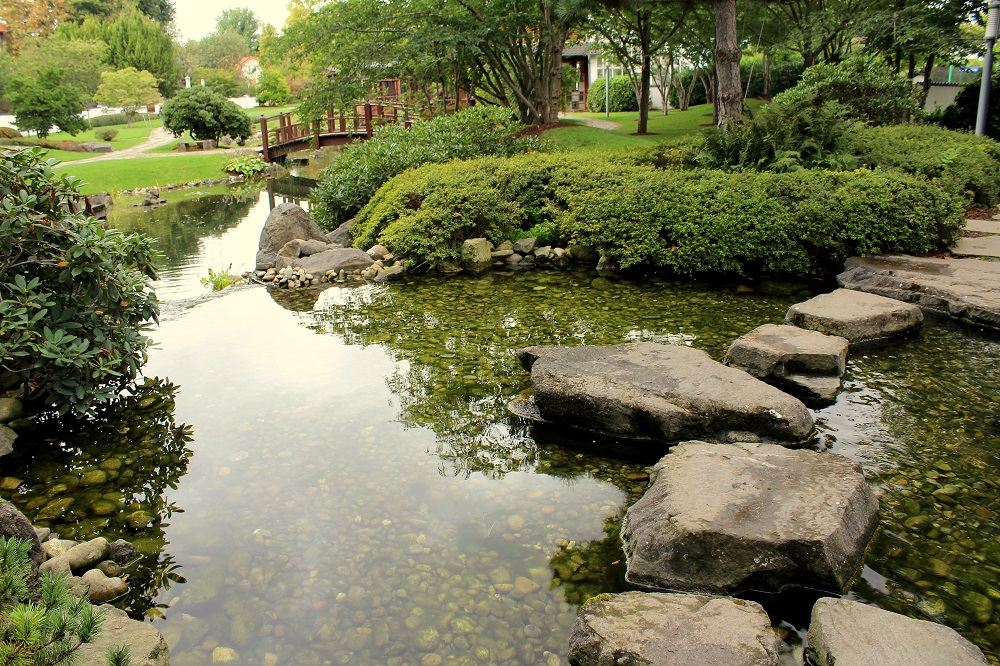 japangarten_38b Garten Wissen