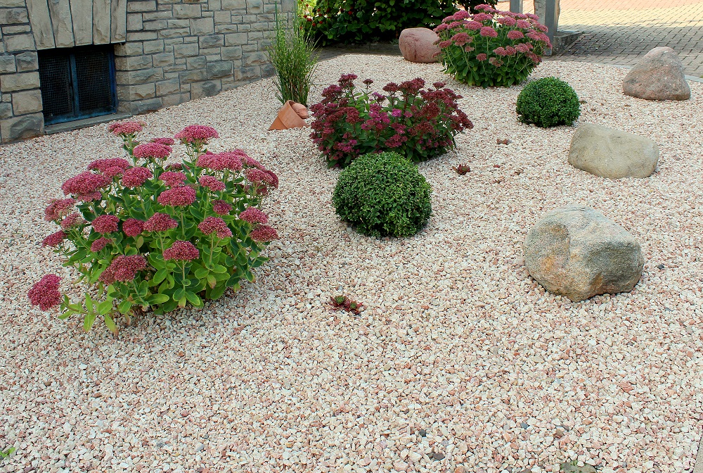 twistesee_kiesbeet01b Garten Wissen