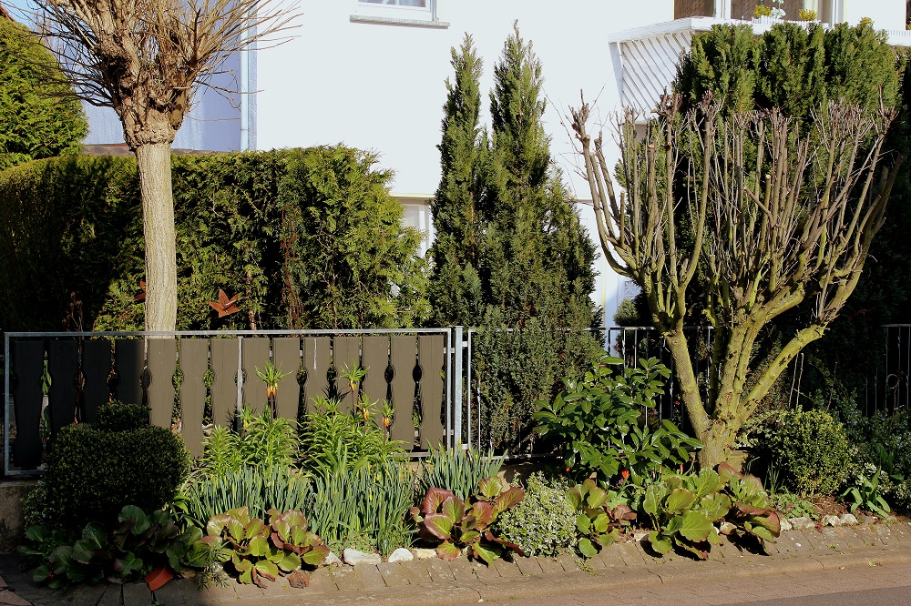 Garten Wissen