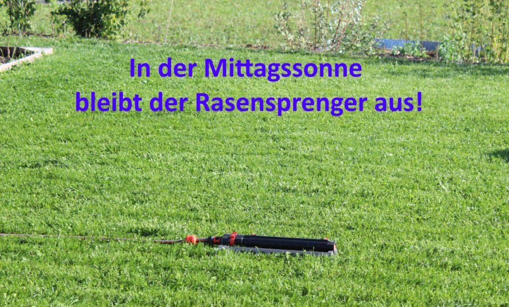 Rasen gießen im Sommer wann, wieviel und wie genau? Tipps vom Profi