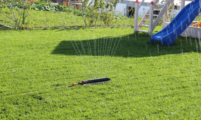 Rasen gießen im Sommer wann, wieviel und wie genau? Tipps vom Profi
