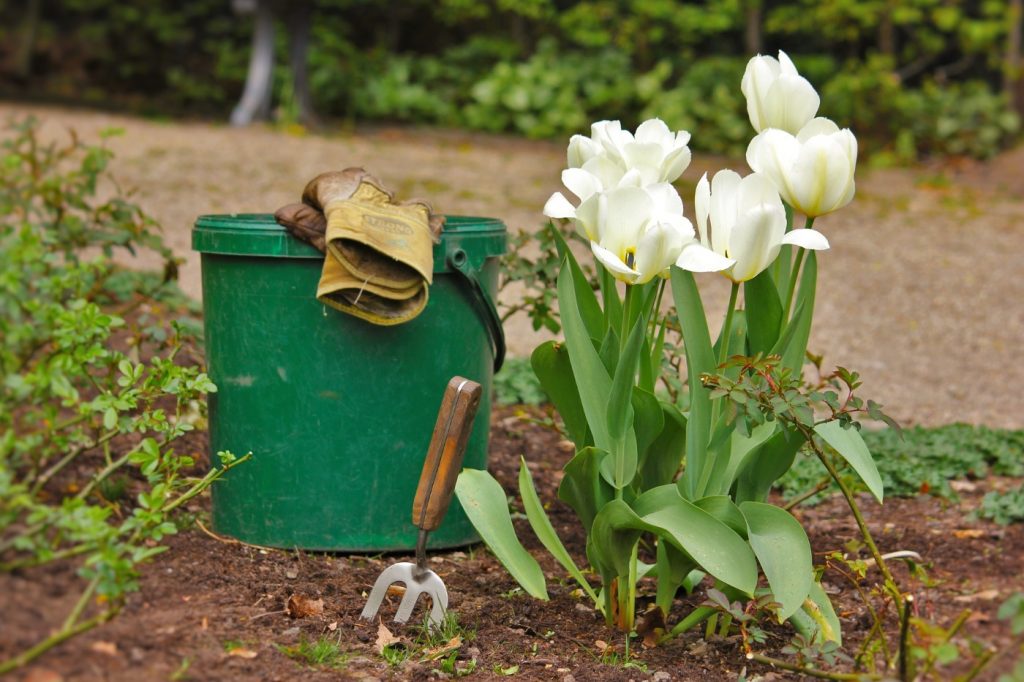 Gartenhandschuhe als Geschenkidee