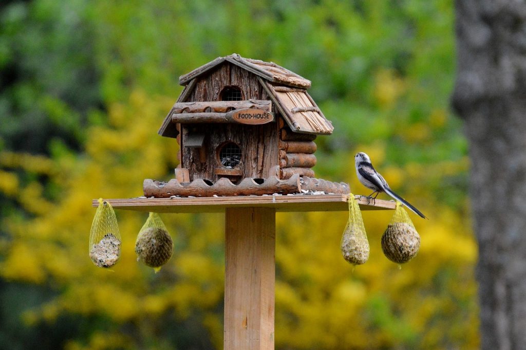 Vogelfutterhaus als Geschenk