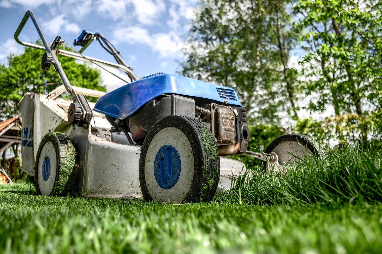 Einen neuen Garten anlegen Tipps für die ersten Schritte Garten Wissen