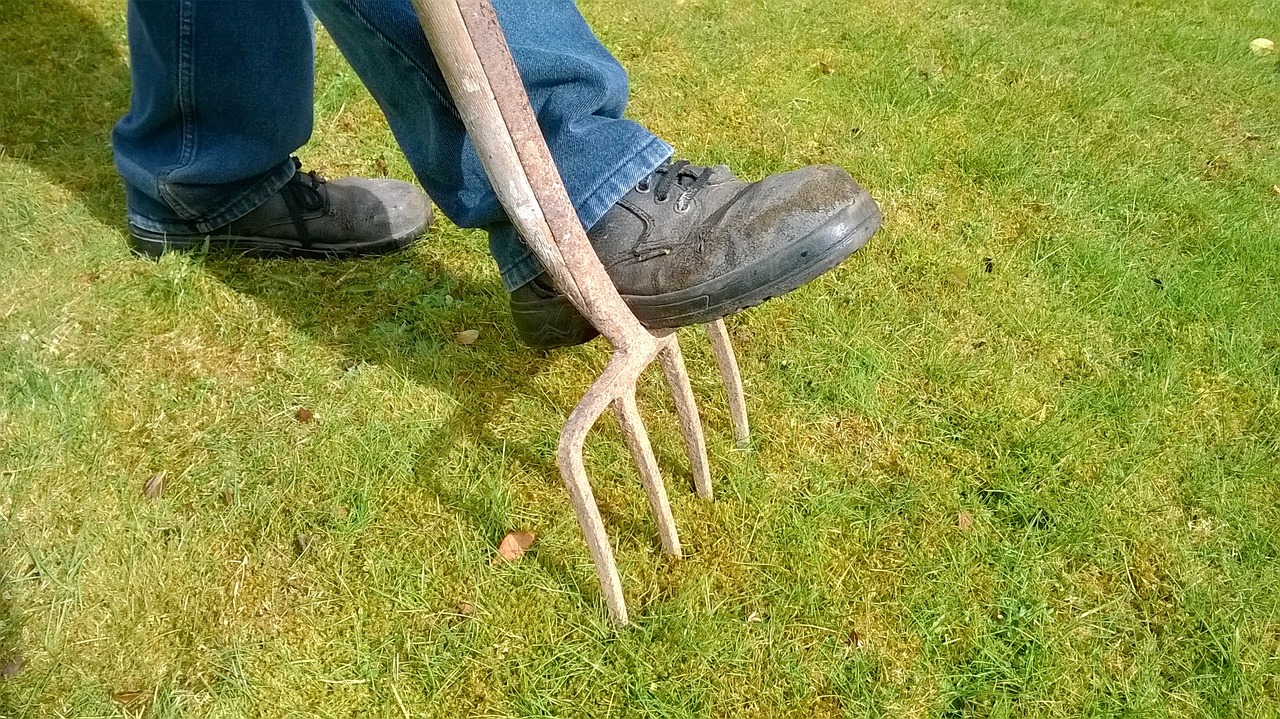 Drainage im Garten Garten Wissen