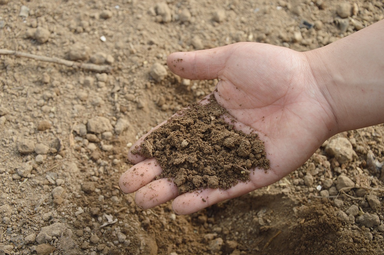 Gartenboden sauer machen: So senken Sie den pH-Wert in der Erde | Garten  Wissen