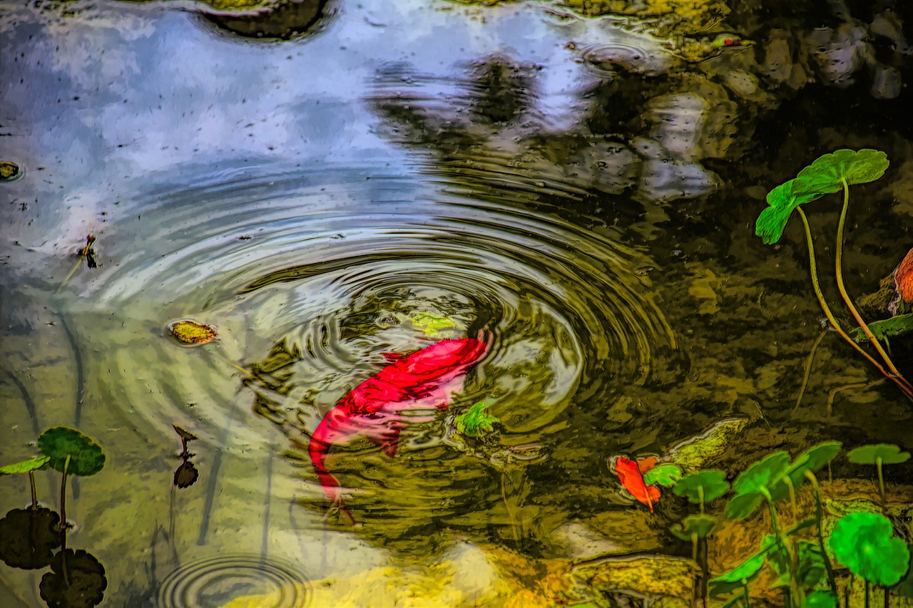 Zeolith im Gartenteich Die natürliche Art der Wasseraufbereitung