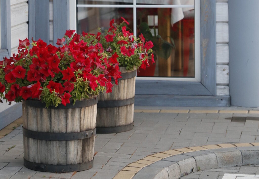 Das Foto zeigt rote Blumen im Pflanzkübel, der an einer Hauswand steht