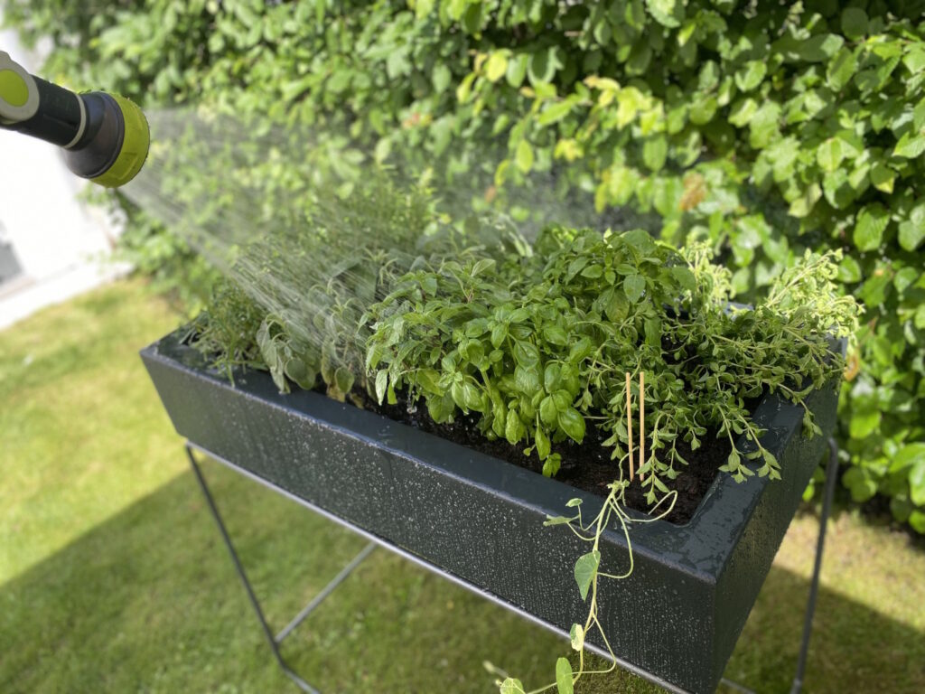 Greenbop - Kräuterhochbeet