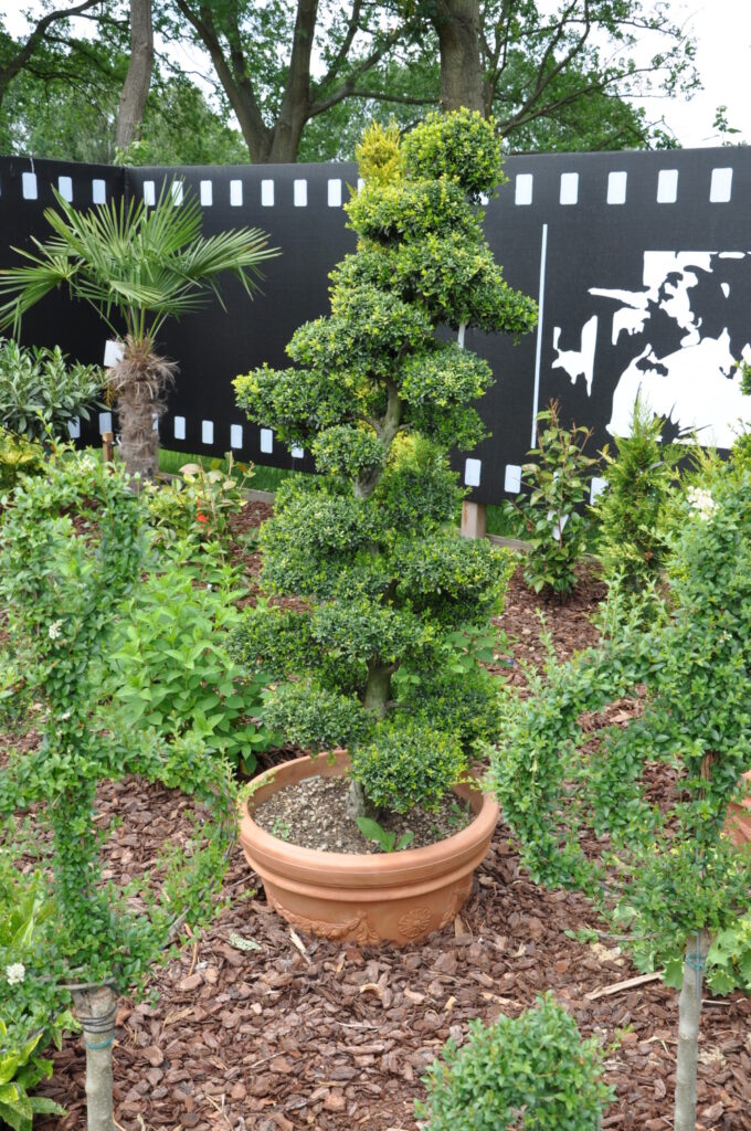 Greenbop - Pflanzkübel ist dekorativ