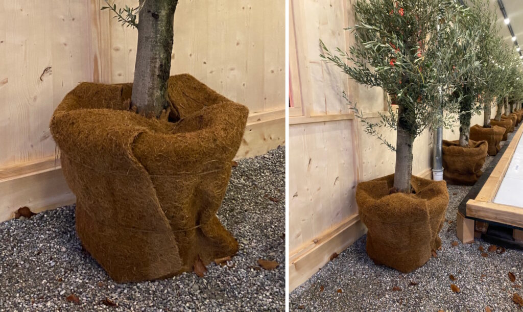 Pflanzkübel Winterschutz