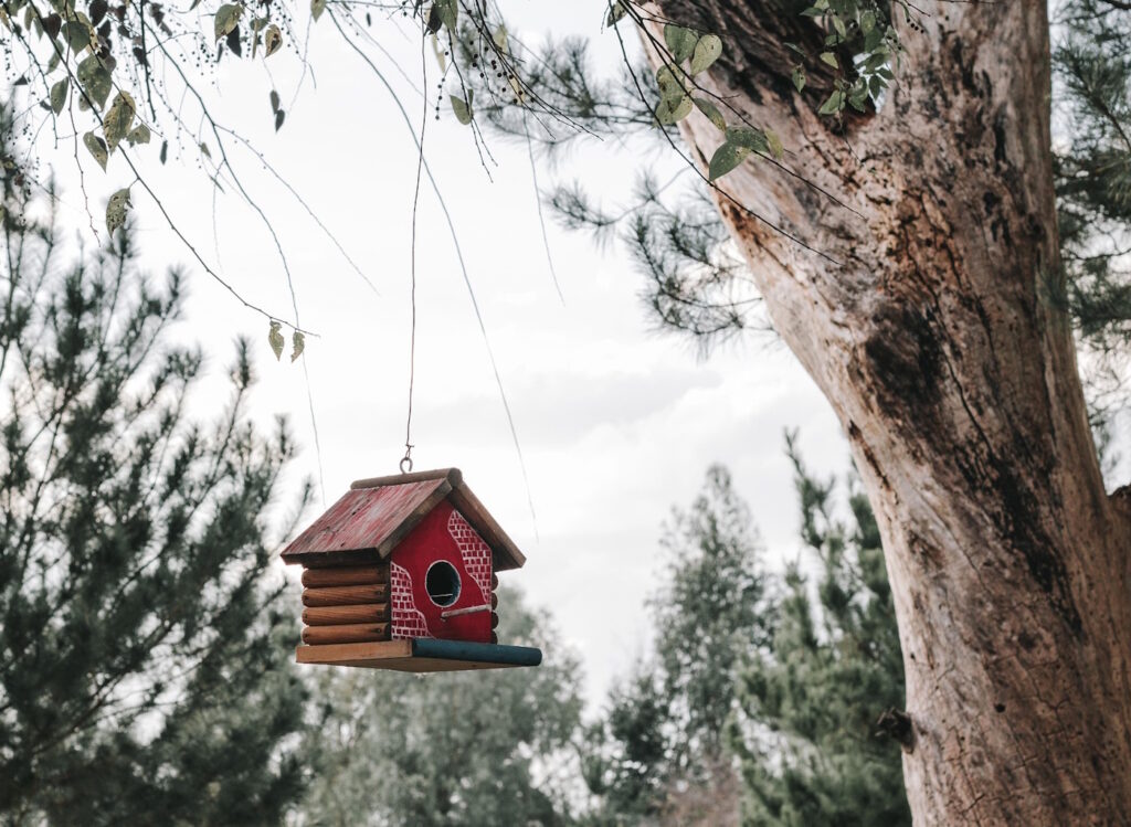 Das Foto zeigt einen Baum an dem ein Vogelhaus hängt