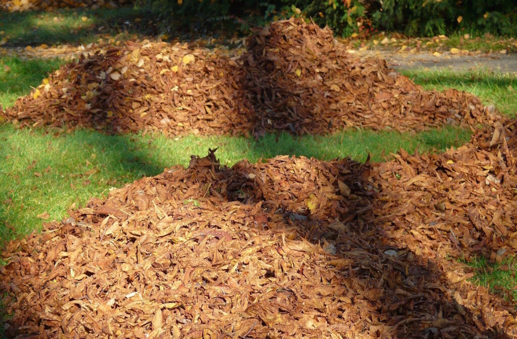 Das Foto zeigt zwei große Laubhaufen im Garten