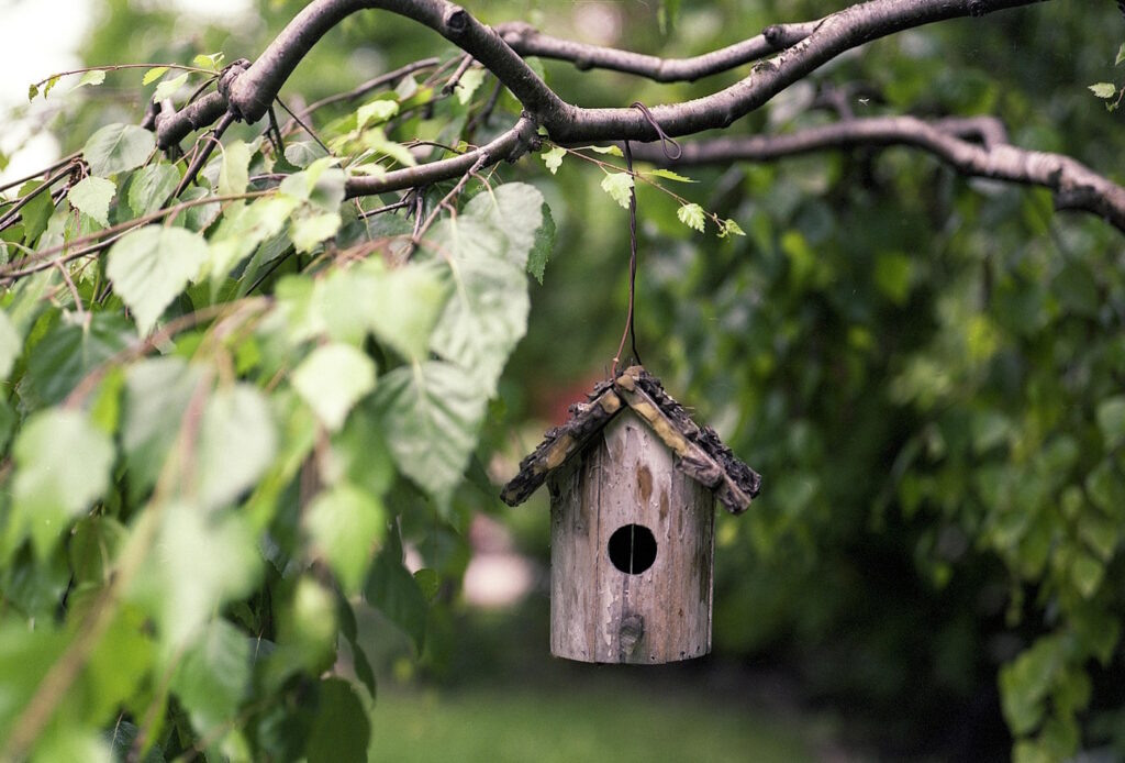 Das Foto zeigt ein Vogelhaus das im Baum hängt