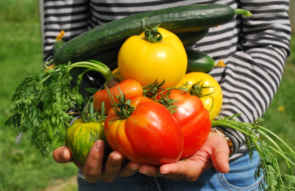 Das Foto zeigt Tomaten, eine Gurke und sellerie in den Händen einer Frau