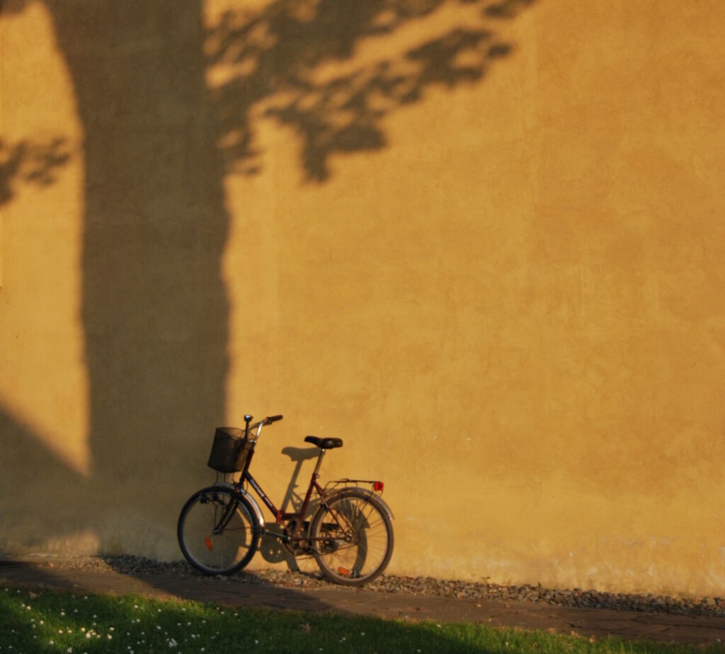 Das Foto zeigt ein Fahrrad im Schatten eines Baumes